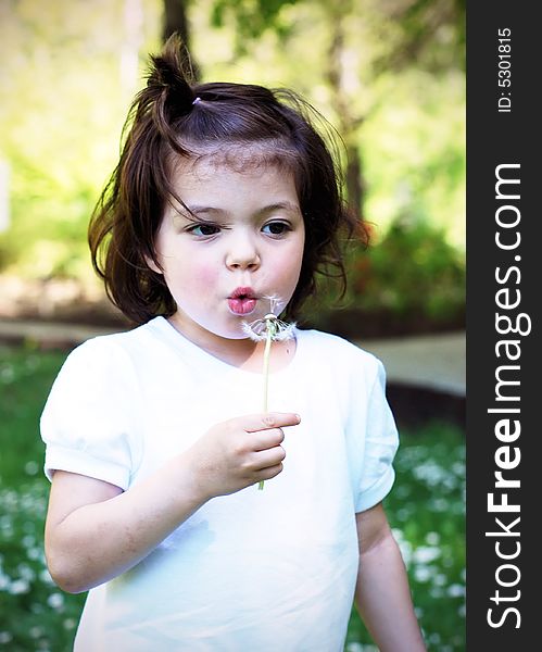 Cute little girl blowing on a dandelion and making a wish. Vertically framed shot. Cute little girl blowing on a dandelion and making a wish. Vertically framed shot.