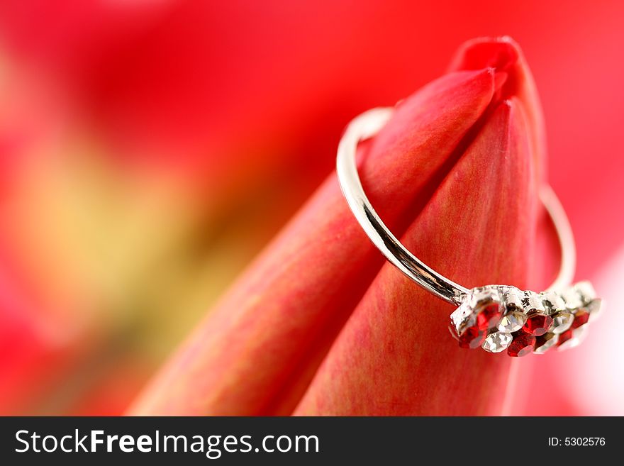 Red tulip with ring on a red background