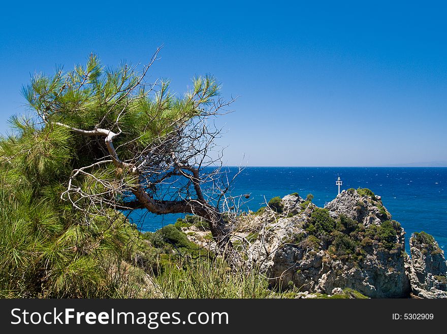 Pine-tree on a rocky beach. Samos Island, Greece.