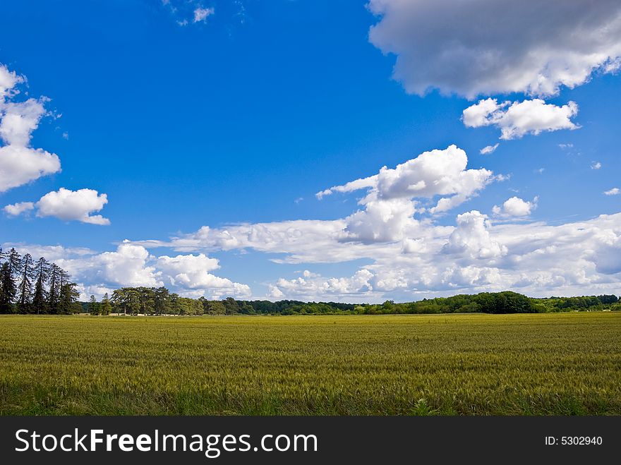 Clouds Over Field