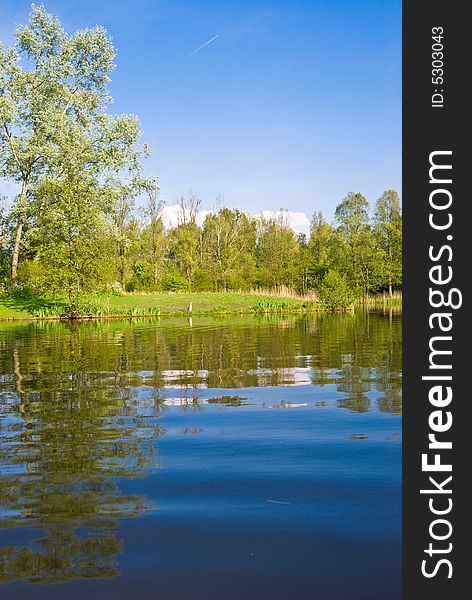 Beautiful lake, view from the water. Duck on the bank.