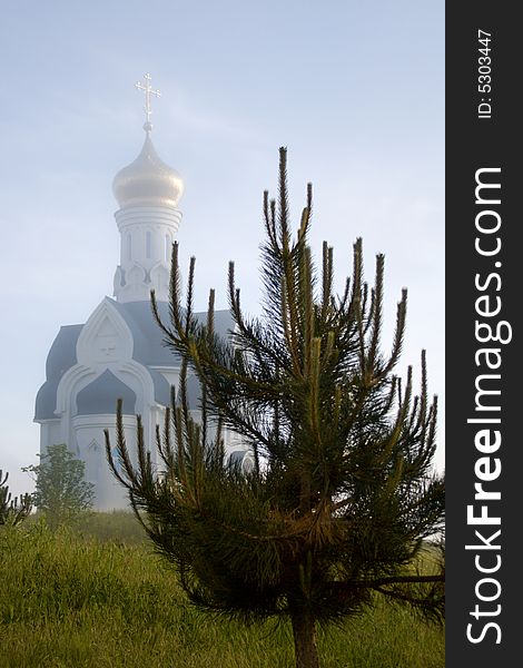 Chapel in a fog and a young fur-tree