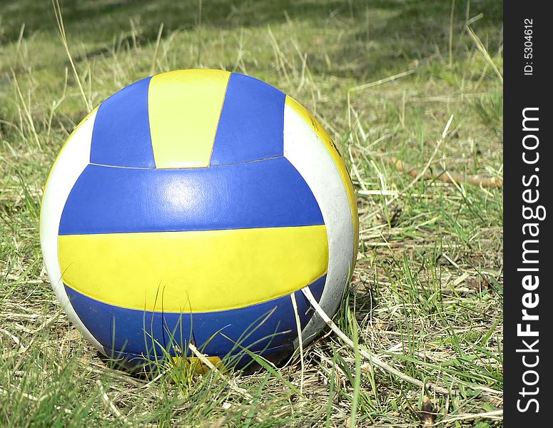 Volleyball ball in the grass