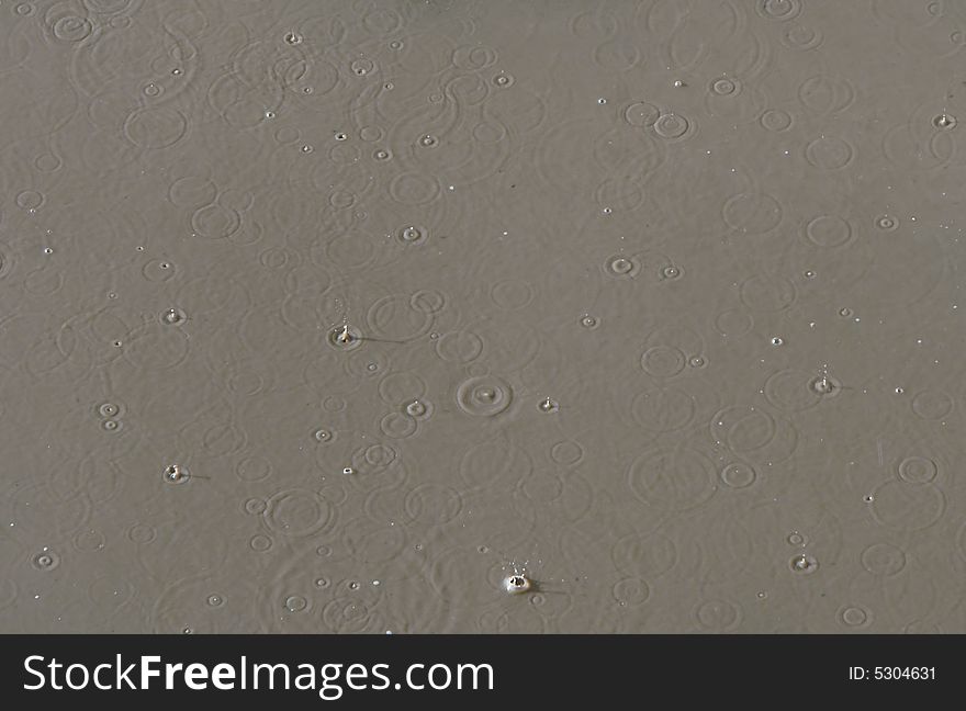 Circles on water during a rain. Circles on water during a rain