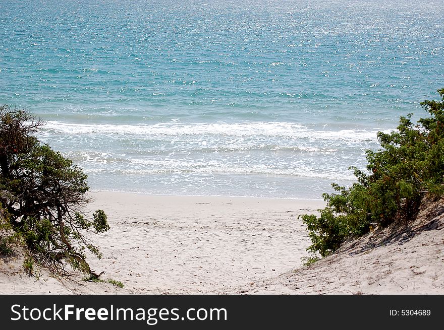 A peaceful, calm beach scene framed by foliage. A peaceful, calm beach scene framed by foliage
