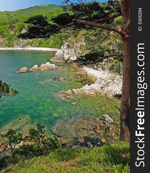 Sea Landscape With Pines On The Rocks