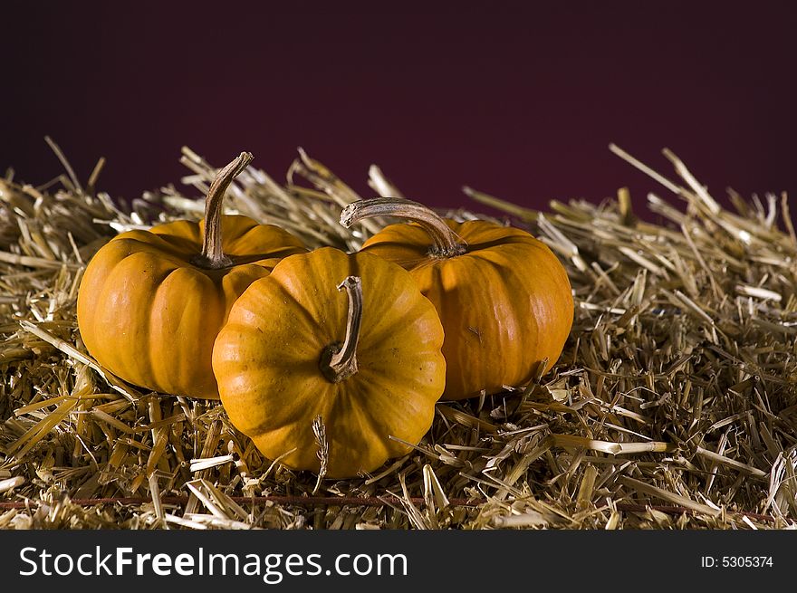 Arrangement of squash and corn on a haystack. Arrangement of squash and corn on a haystack