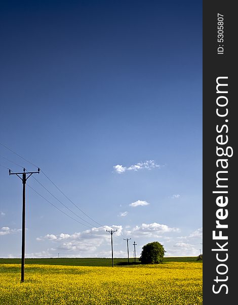 Power poles in the open countryside