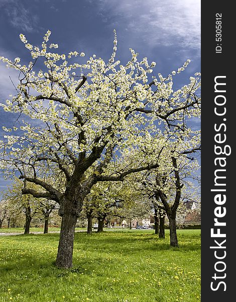 Spring in the Franconian countryside of germany. Spring in the Franconian countryside of germany