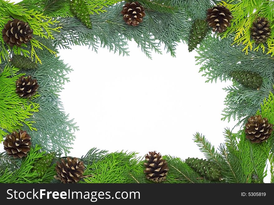 Christmas frame with cones isolated on white