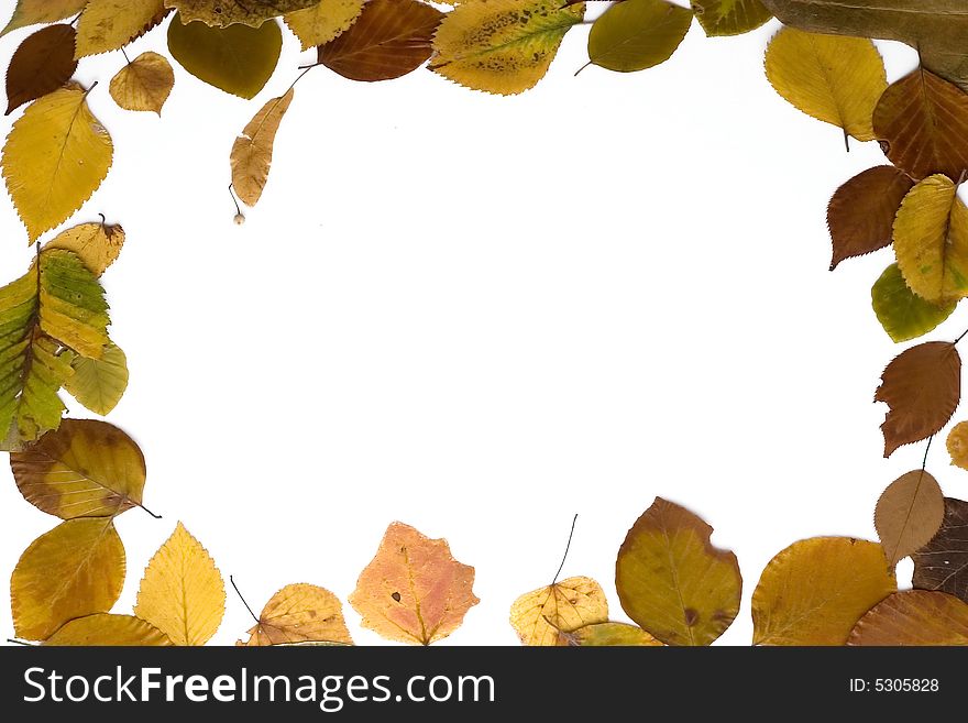 Autumn frame made of colorful leaves