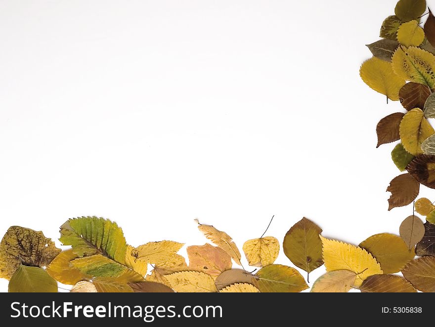 Autumn frame made of colorful leaves