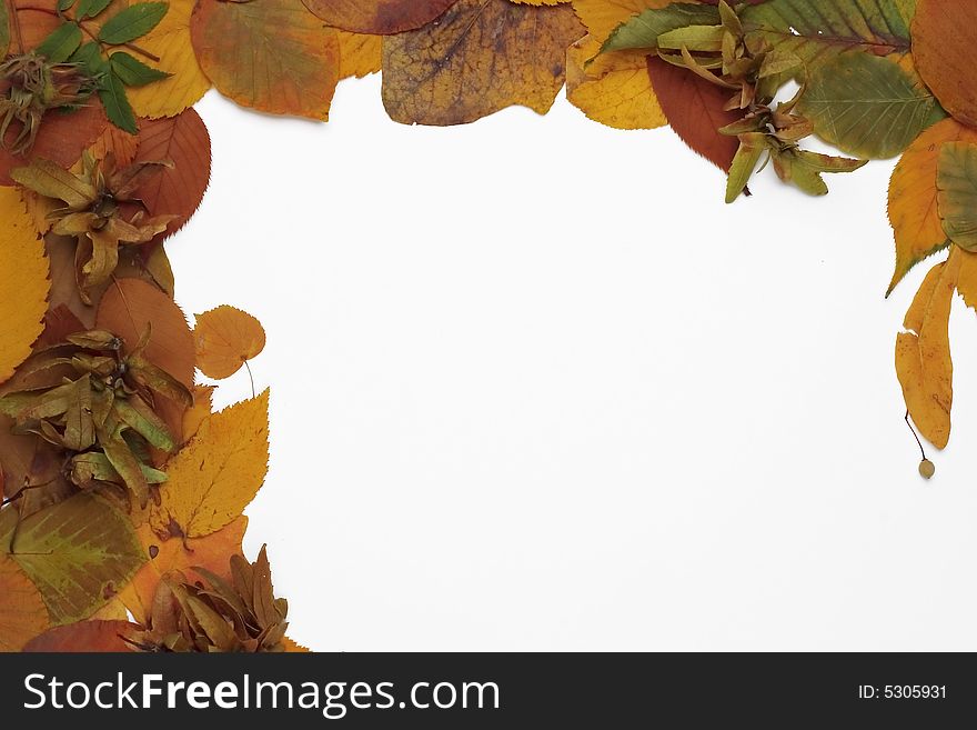 Autumn frame made of colorful leaves. Autumn frame made of colorful leaves
