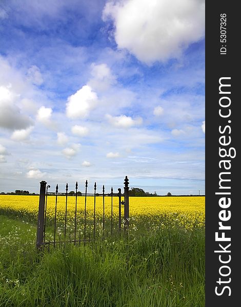 Cast iron gate in open countryside. Cast iron gate in open countryside