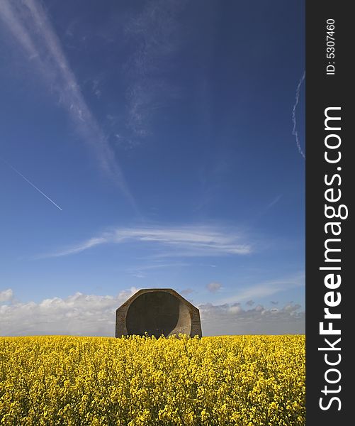 Concrete wartime reflector dish in field of yellow flowering oil seed, East Yorkshire. Concrete wartime reflector dish in field of yellow flowering oil seed, East Yorkshire