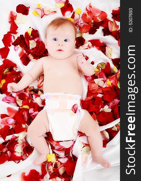 Beautiful baby in a rose plants. Shot in studio. Beautiful baby in a rose plants. Shot in studio.