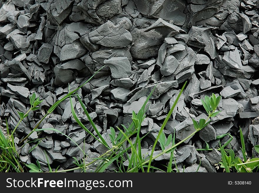 Green grass on a background of stones. Green grass on a background of stones