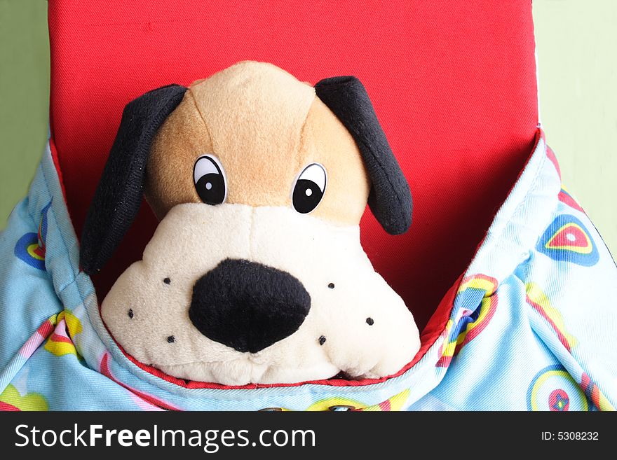 Child fluffy dog in a carry bag. Child fluffy dog in a carry bag