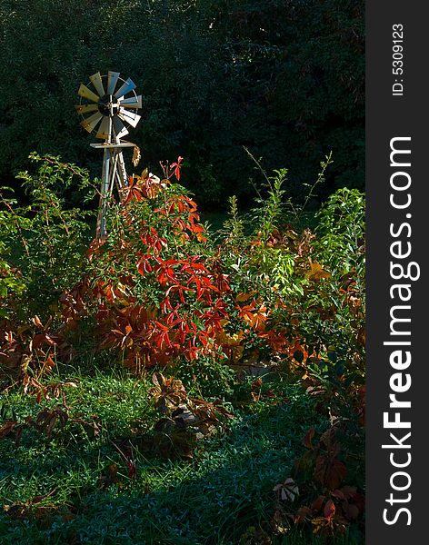 Autumn foliage decorates this garden and windmill. Autumn foliage decorates this garden and windmill.