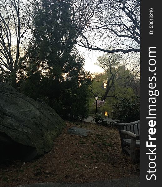 Early Evening In Central Park In Spring.