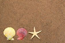 Seashells And Star On Sand Royalty Free Stock Images Seashells And Star On Sand Royalty Free Stock Images
