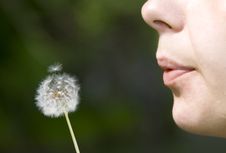 Girl Blowing Dandelion Royalty Free Stock Photography