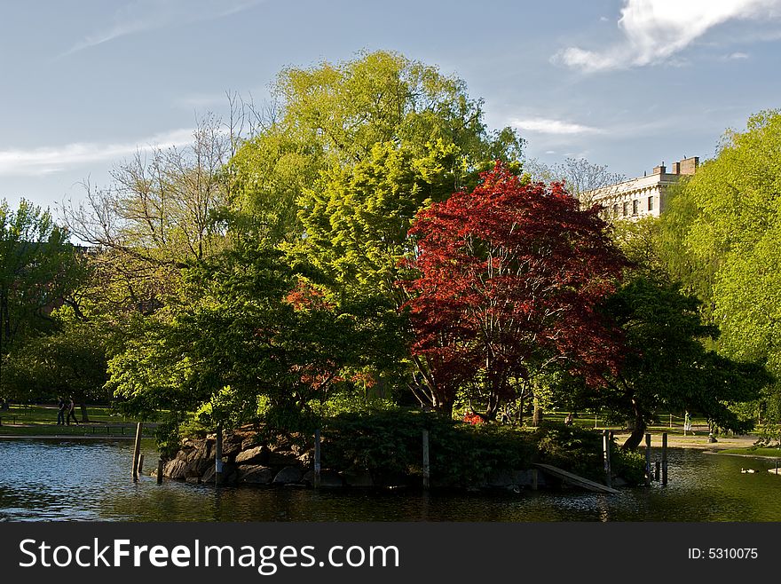 Scenic view of boston public garden island on a bright spring afternoon. Scenic view of boston public garden island on a bright spring afternoon