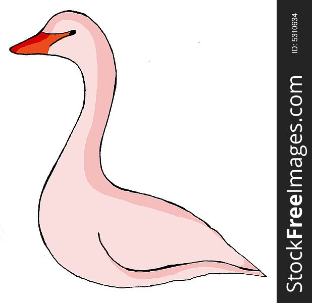 Swan bird nature naturel pink