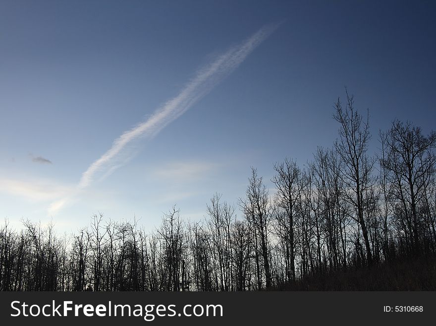 A jet vapor trail stretching across the evening sky over a forest. A jet vapor trail stretching across the evening sky over a forest