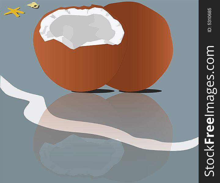 Vector illustration of two coconuts lying on a beach, with their reflection on the water. Vector illustration of two coconuts lying on a beach, with their reflection on the water