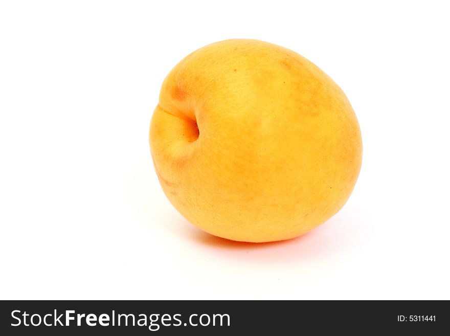 Apricot