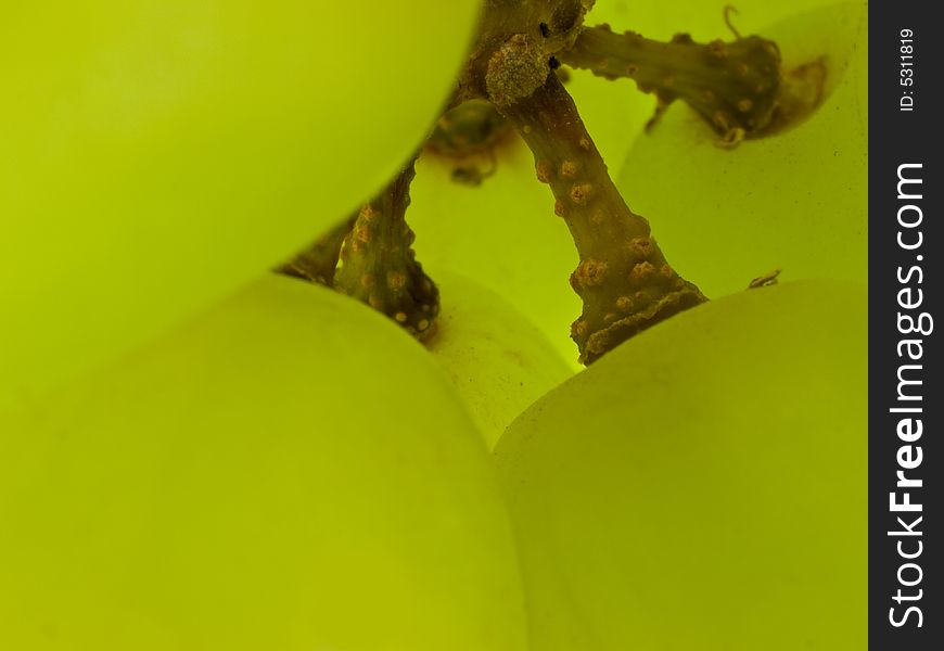 Macro of green grapes on bunch. Macro of green grapes on bunch