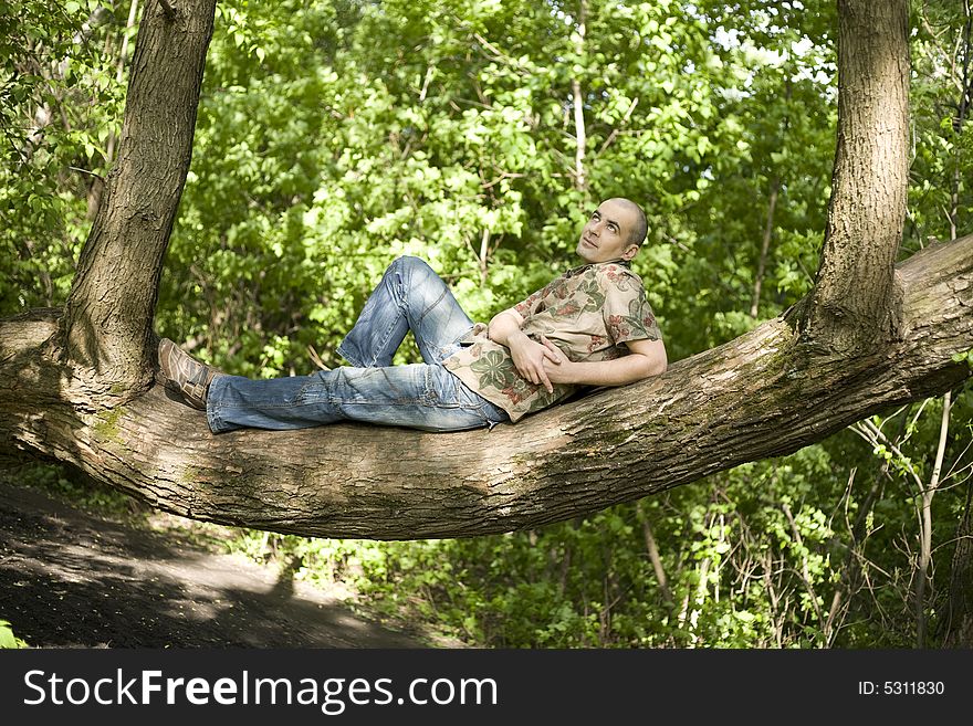 Young Man Relaxing In The Forest. Young Man Relaxing In The Forest