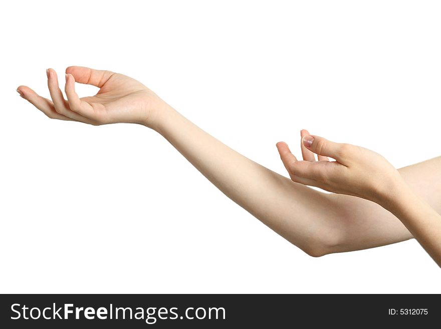 Female hands on a white background
