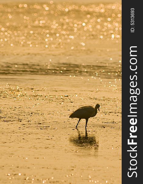 Silouette of blue heron in Alacati, Cesme, Turkey. Silouette of blue heron in Alacati, Cesme, Turkey