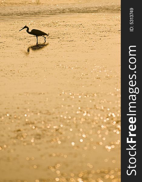 Silouette of blue heron in Alacati, Cesme, Turkey. Silouette of blue heron in Alacati, Cesme, Turkey