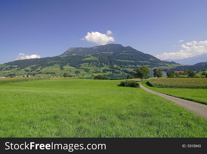 The beautiful nature in suburb of Lucerne