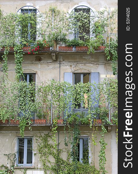 Windows and terrace in an ancient and rural house with ivy and flowers - Italy. Windows and terrace in an ancient and rural house with ivy and flowers - Italy