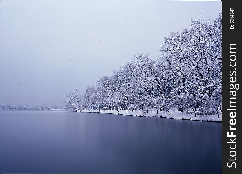 After a heavy snowfall of the Hangzhou West Lake. After a heavy snowfall of the Hangzhou West Lake