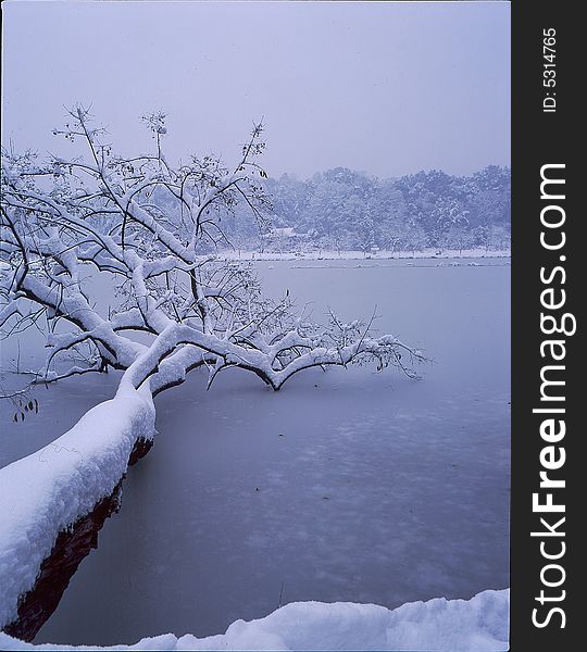 After a heavy snowfall of the Hangzhou West Lake. After a heavy snowfall of the Hangzhou West Lake