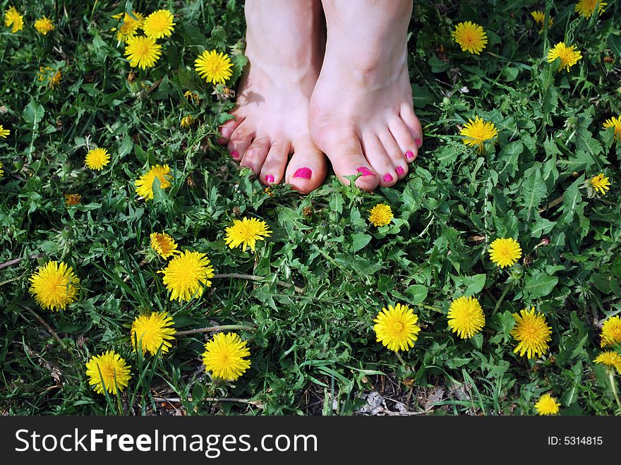 Sexy Foots & Yellow Flowers
