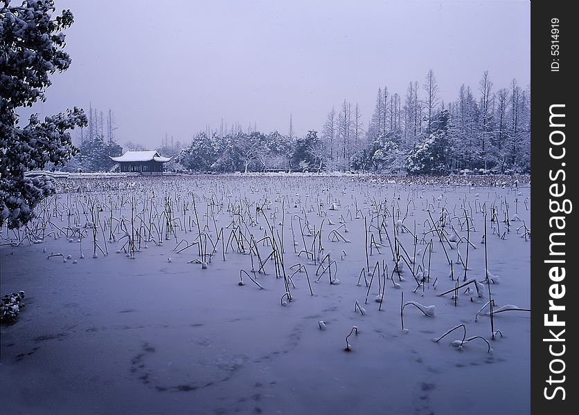 After a heavy snowfall of the Hangzhou West Lake. After a heavy snowfall of the Hangzhou West Lake