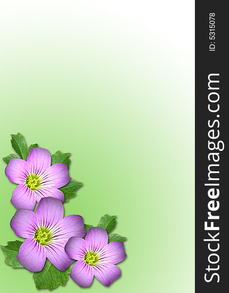 Composite of Purple flower and leaf with green background