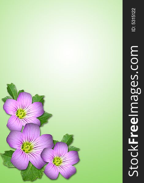 Composite of Purple flower and leaf with green background