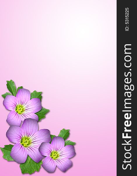 Composite of Purple flower and leaf with pink background