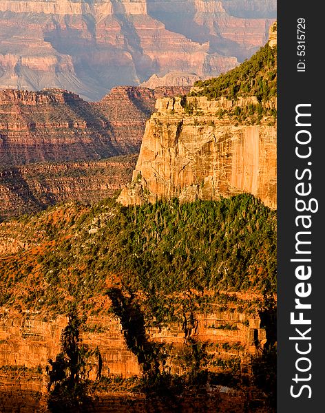 The first light of the day warms the cliffs at the North Rim of Arizona's Grand Canyon National Park. The first light of the day warms the cliffs at the North Rim of Arizona's Grand Canyon National Park.