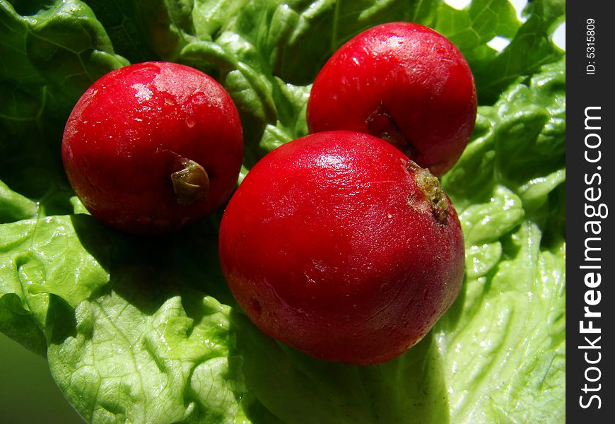 Three radishes on the salad