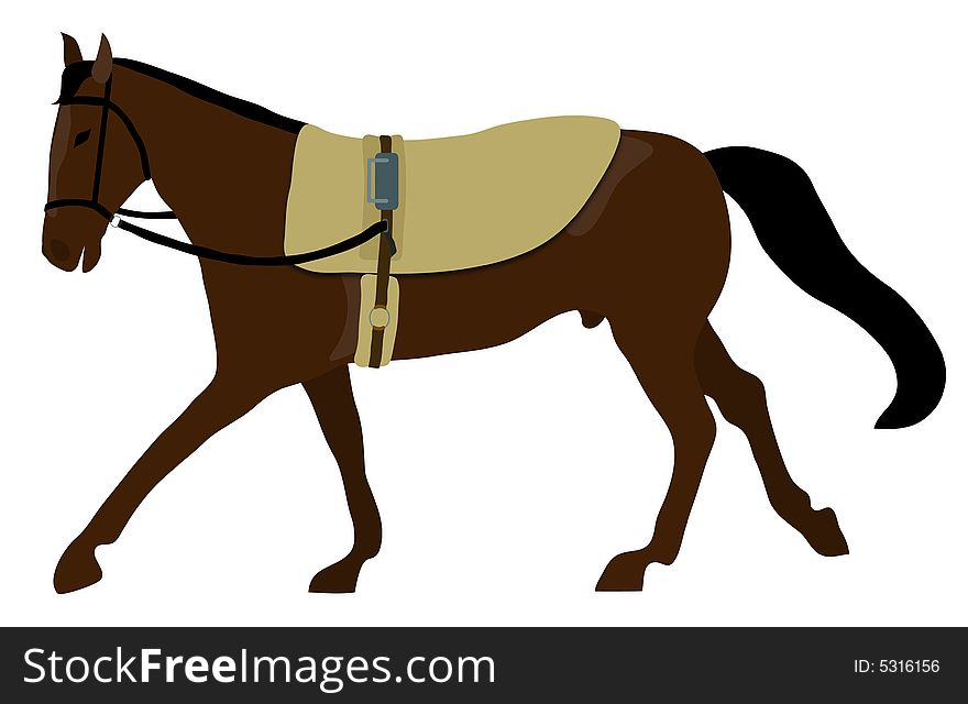 Horse With Vaulting Saddle
