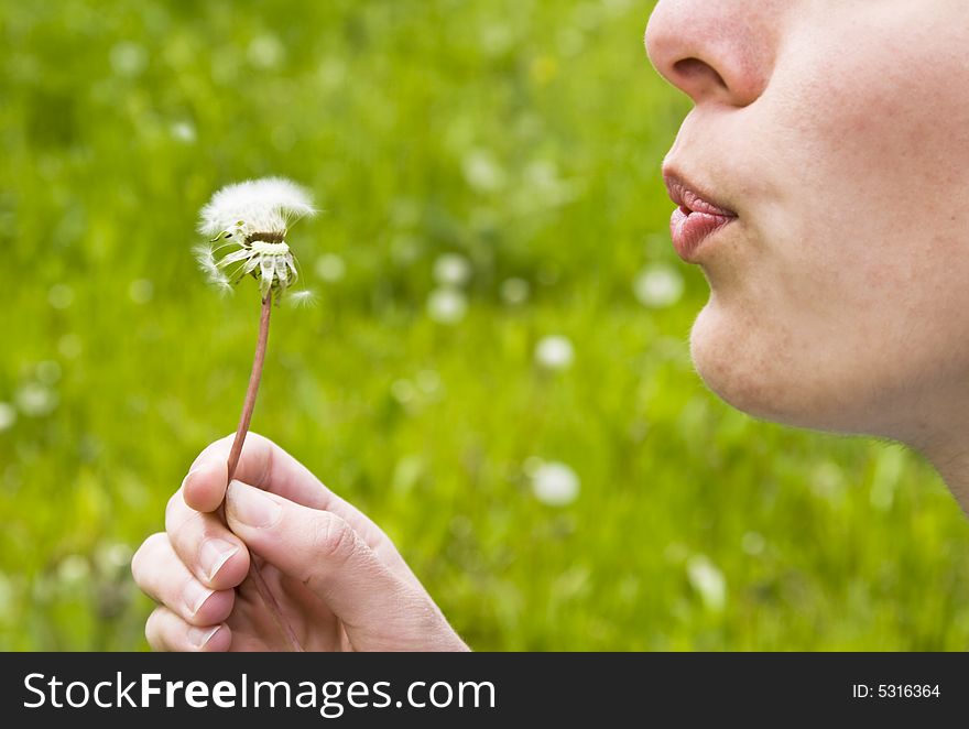 Girl blowing dandelion against green background
