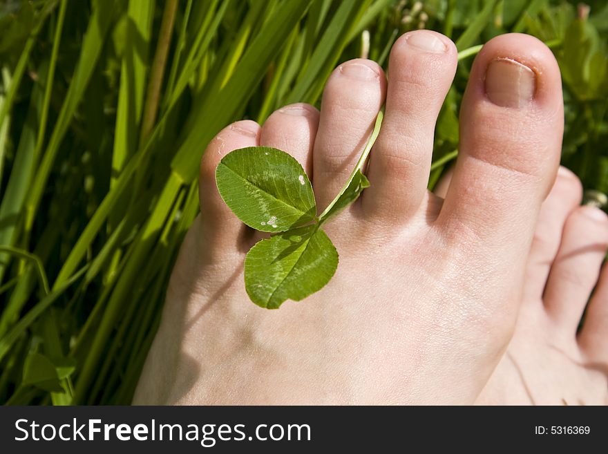 Bare woman's feet in grass